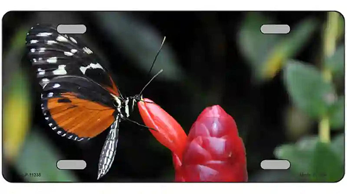 Butterfly On Red Flower Novelty Metal License Plate