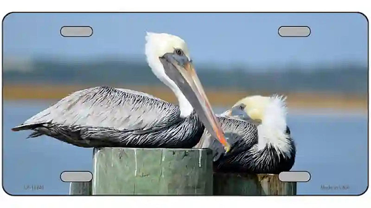 Pelican Two On Pier Novelty Metal License Plate