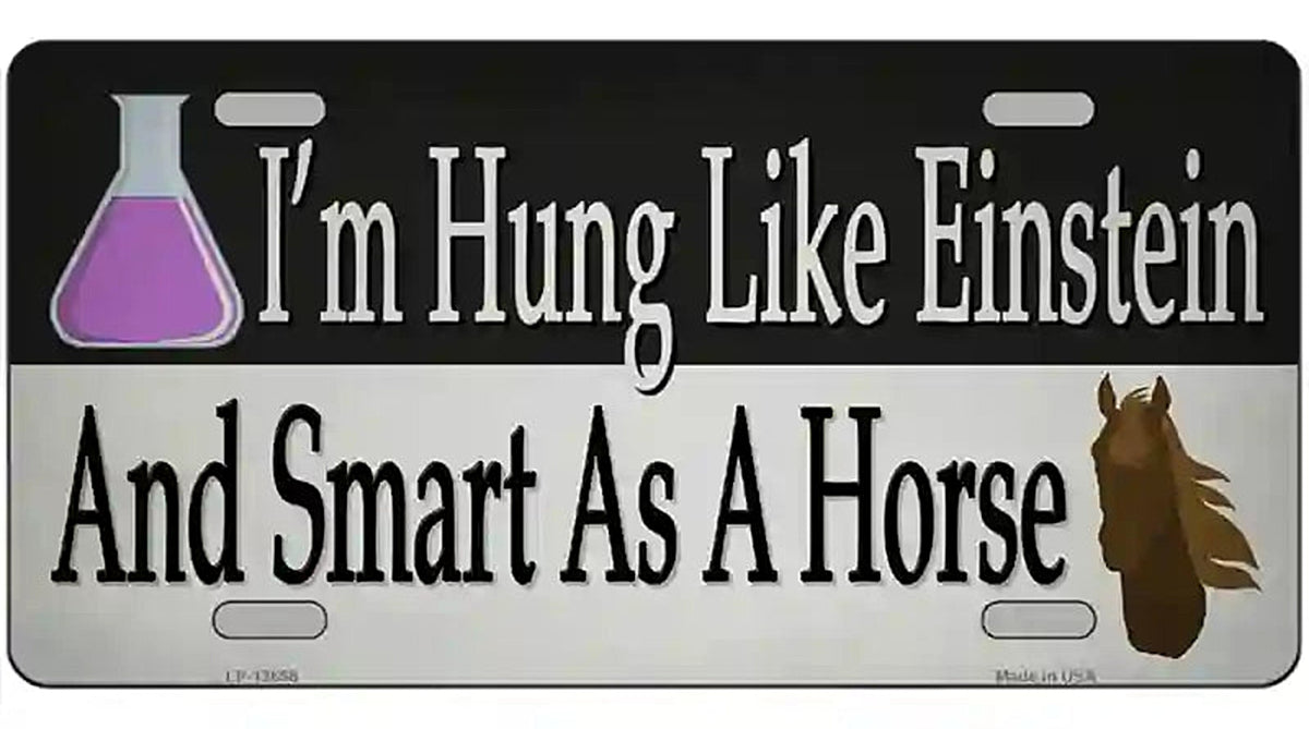 Hung Like Einstein Novelty Metal License Plate Tag