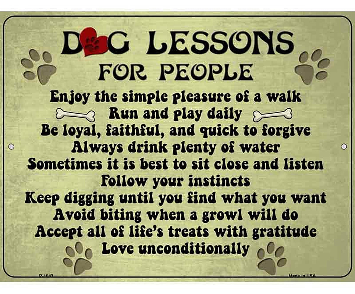 Dog Lessons Metal Novelty Parking Sign
