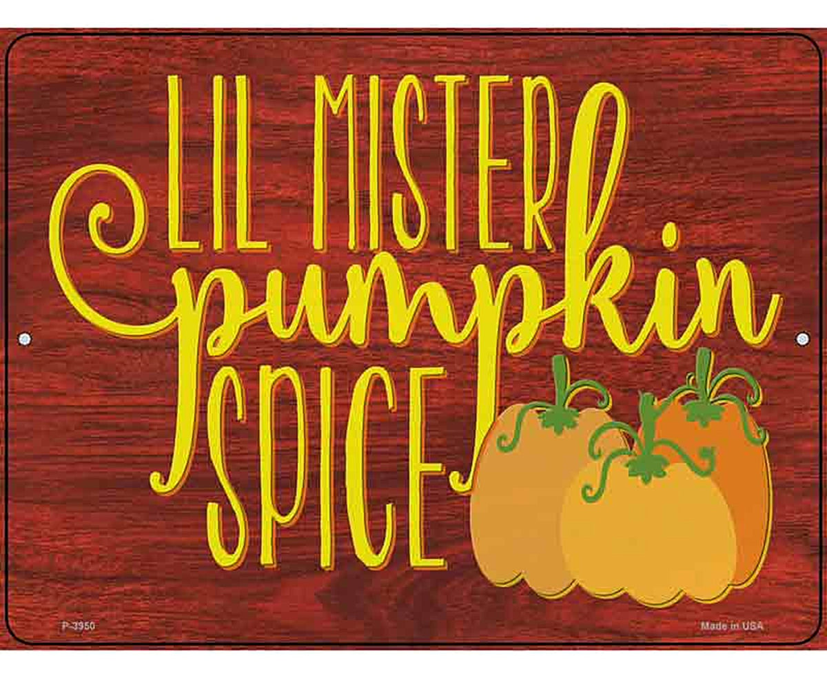 Lil Mister Pumkin Spice Novelty Metal Parking Sign