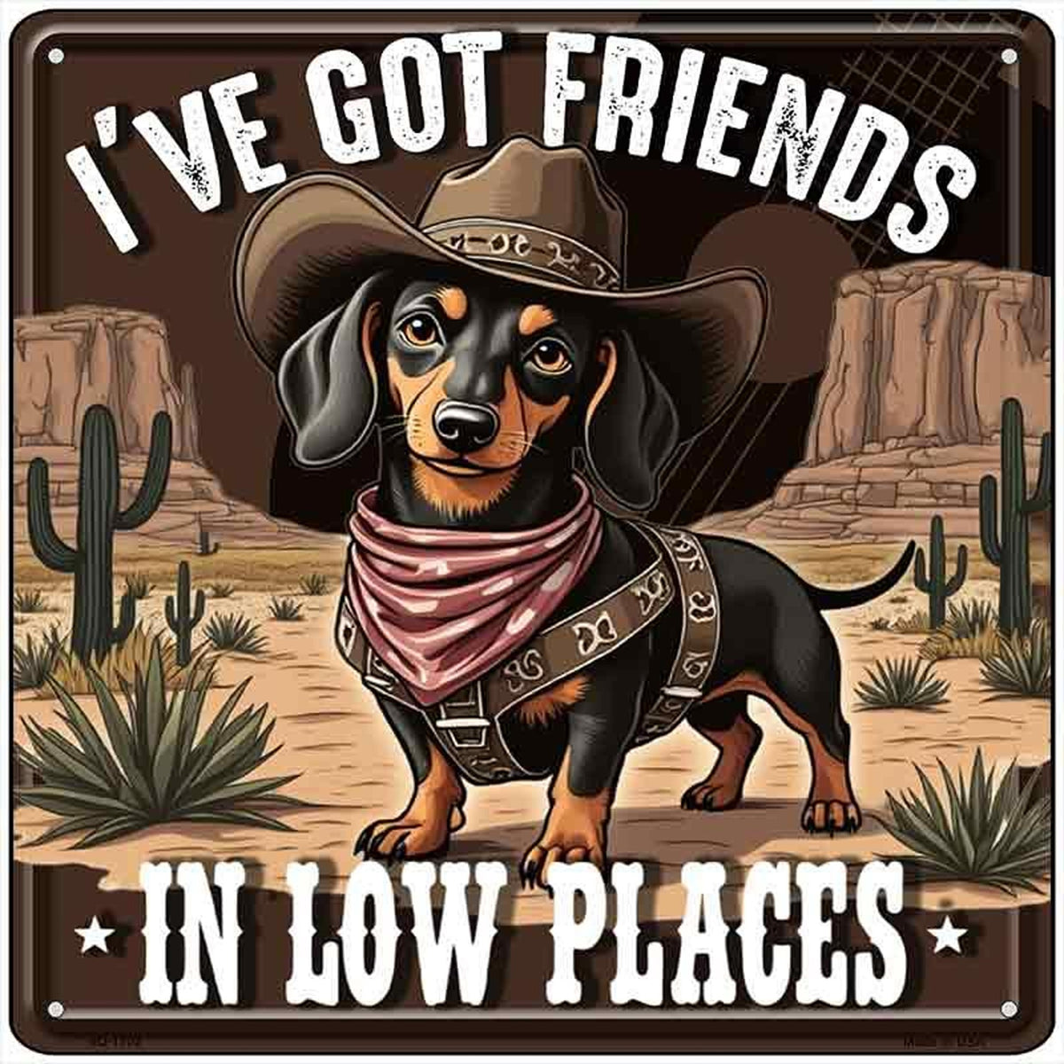 Ive Got Friends In Low Places Novelty Metal Square Sign