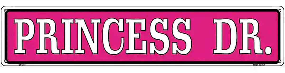 Princess Dr. Novelty Metal Street Sign