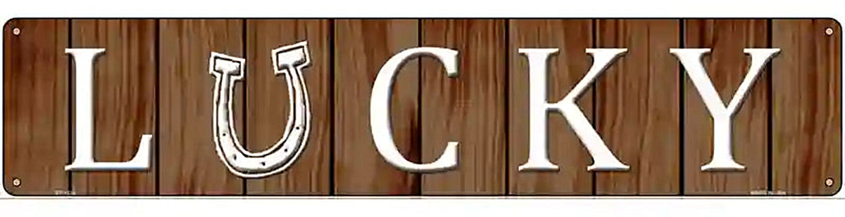 Lucky Novelty Metal Street Sign