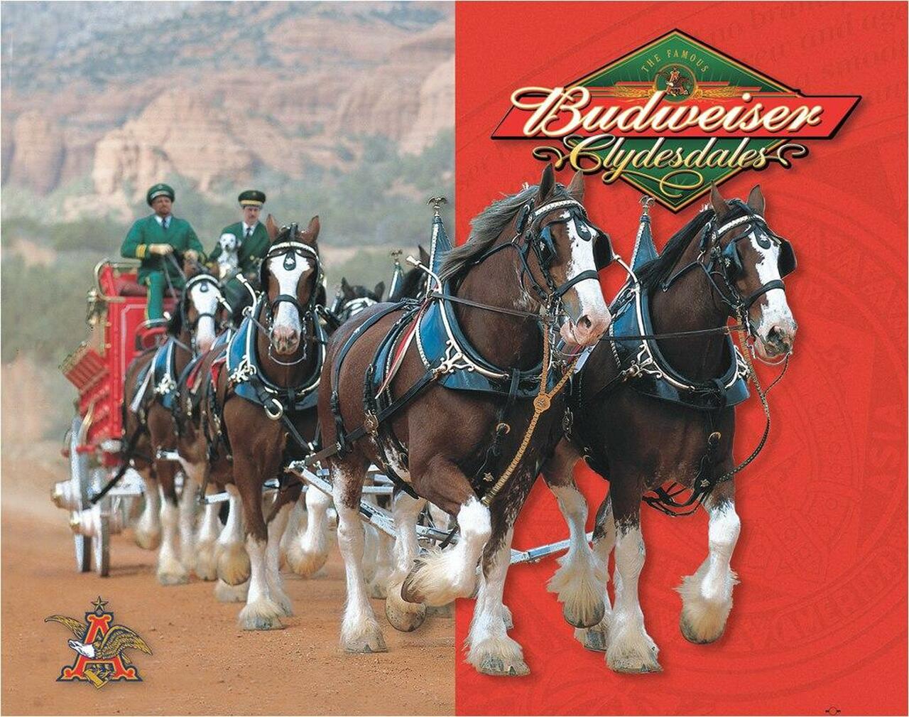 Budweiser - Clydesdales