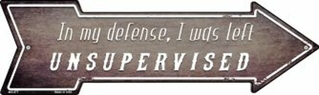 I Was Left Unsupervised Metal Arrow