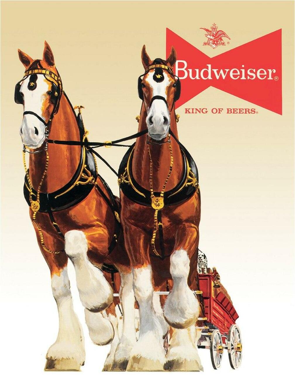 Bud Clydesdale Team