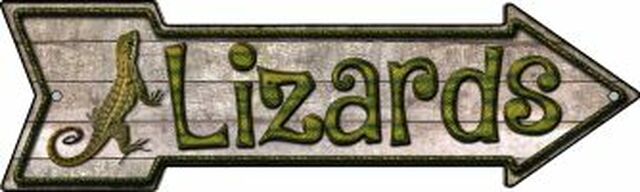 Lizards Metal Arrow - decorative wall sign