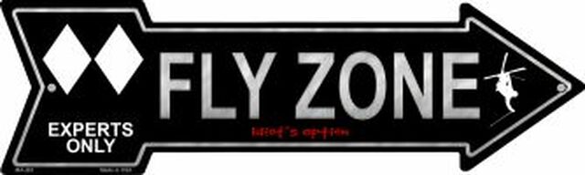 Fly Zone Metal Arrow