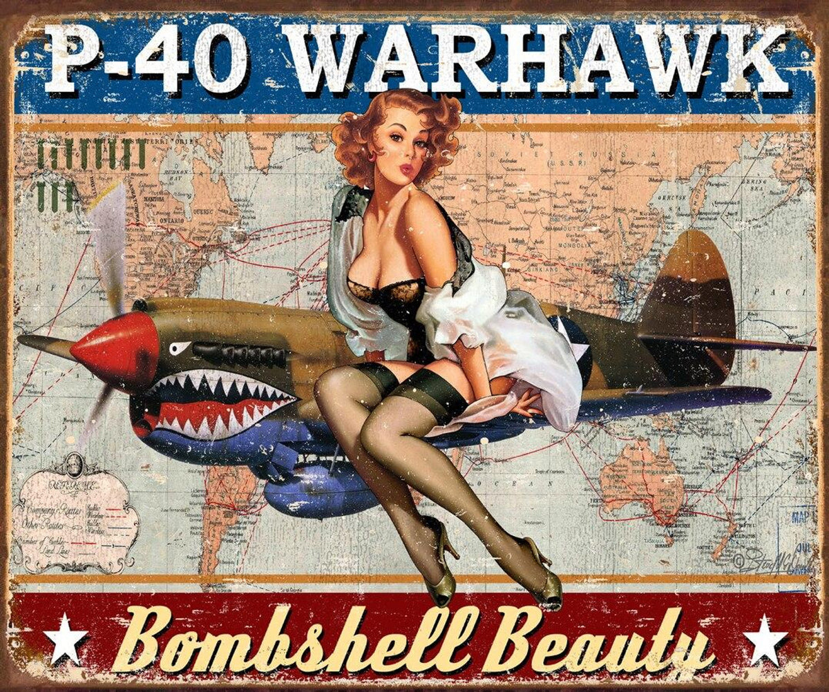 Warhawk - tin sign wall decor