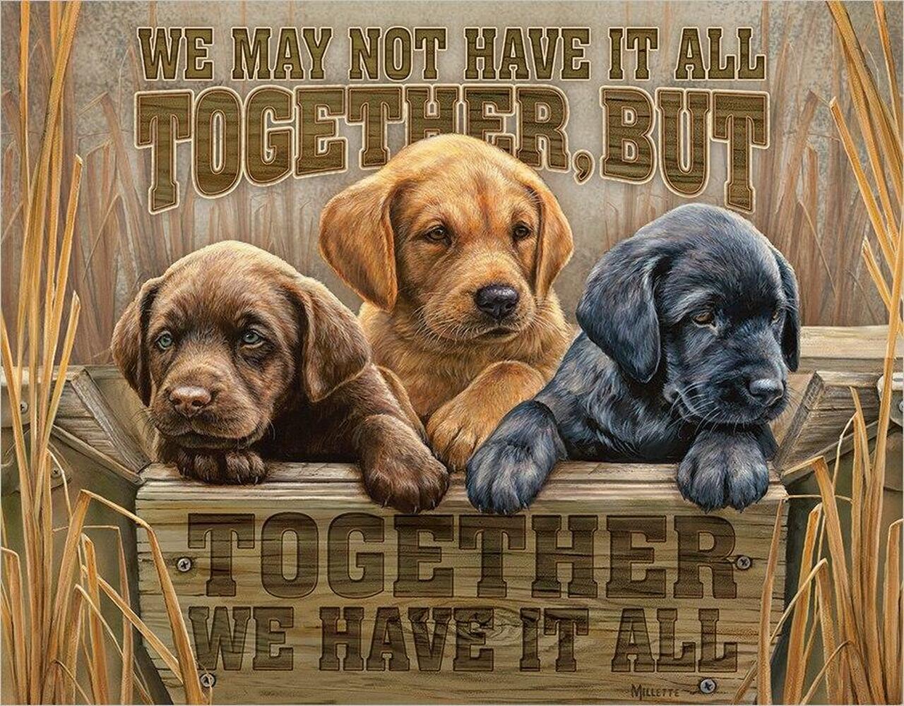 We Have It All - tin sign wall decor