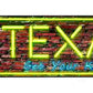Texas Neon Metal Arrow Sign