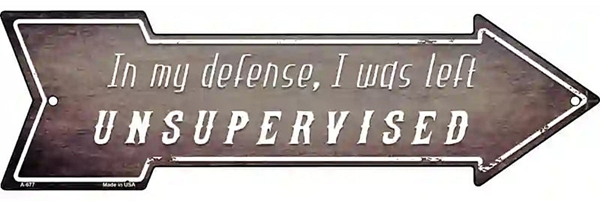 I Was Left Unsupervised Metal Arrow Sign