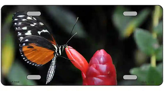 Butterfly On Red Flower Novelty Metal License Plate