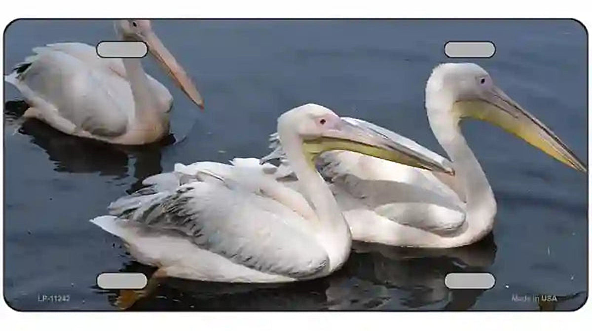 Pelican Three On Water Novelty Metal License Plate