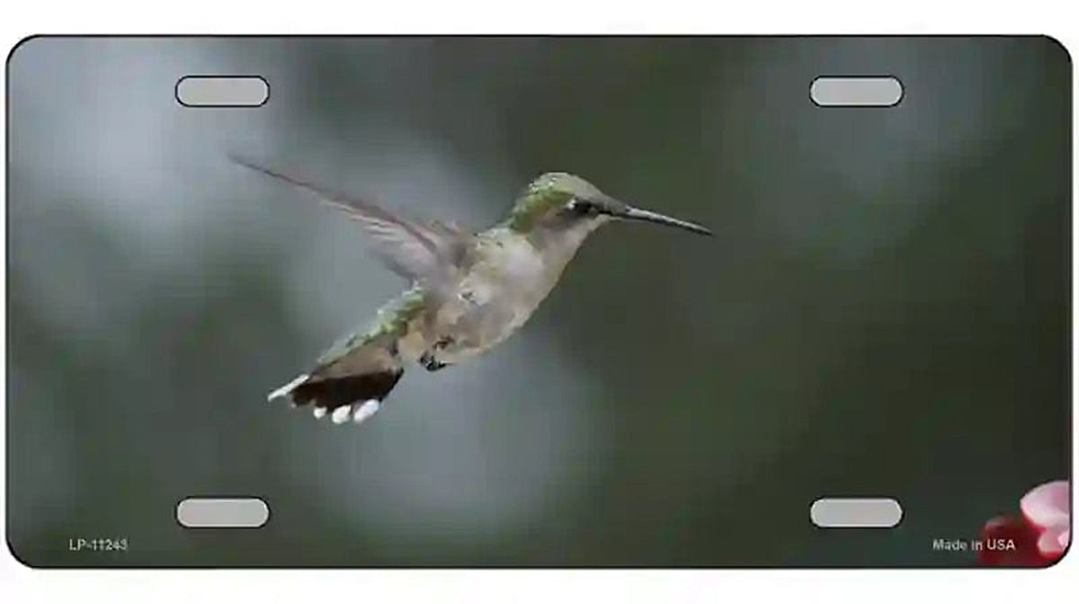 Hummingbird In Flight Novelty Metal License Plate