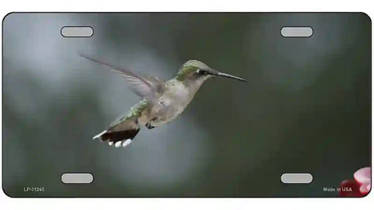 Hummingbird In Flight Novelty Metal License Plate