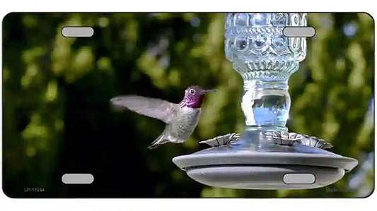 Hummingbird At Feeder Novelty Metal License Plate