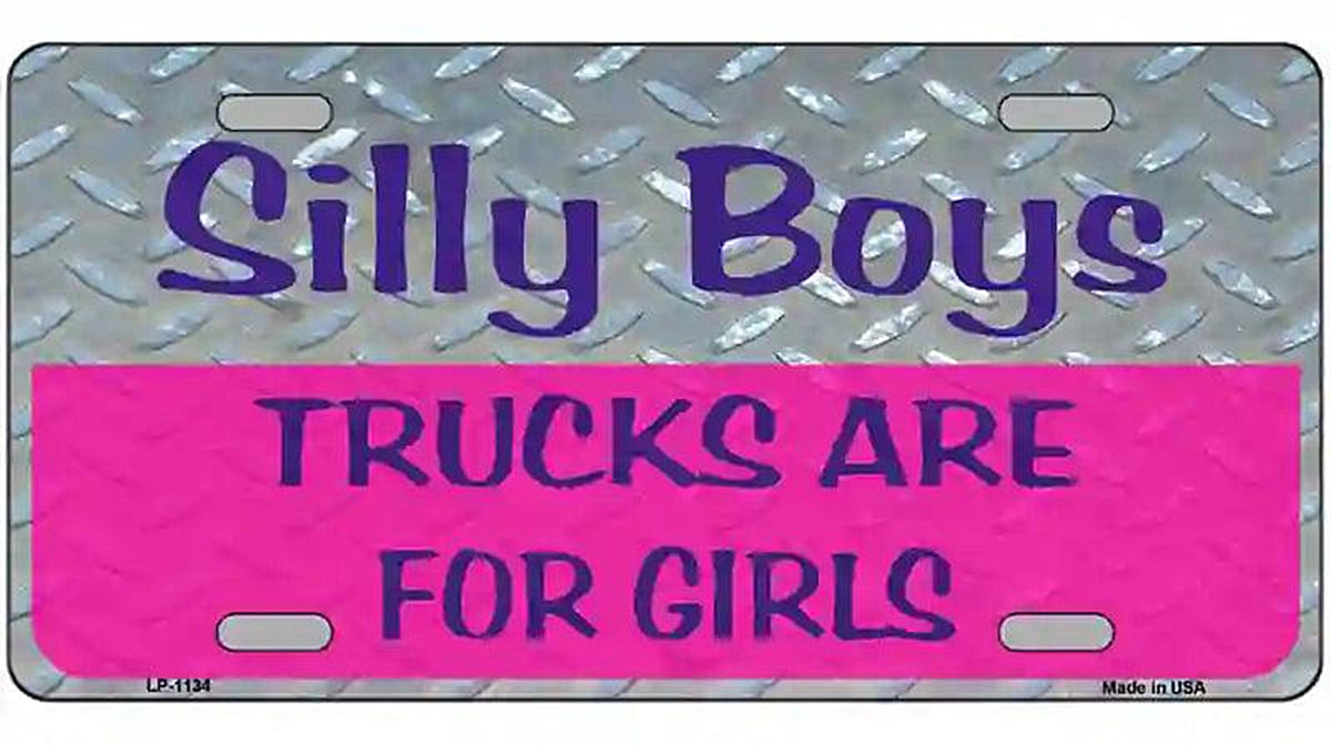 Silly Boys Novelty Metal License Plate