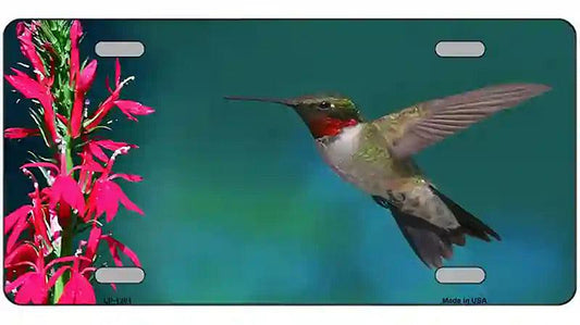 Humming Bird Novelty Metal License Plate