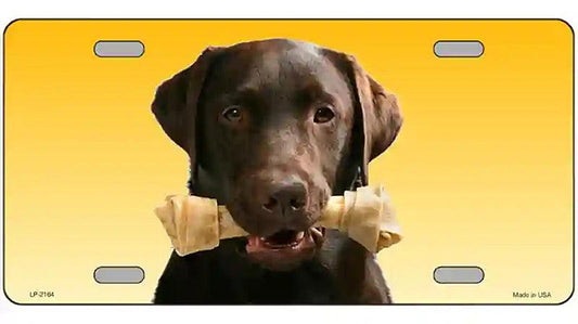 Chocolate Labrador Retriever Dog Metal Novelty License Plate