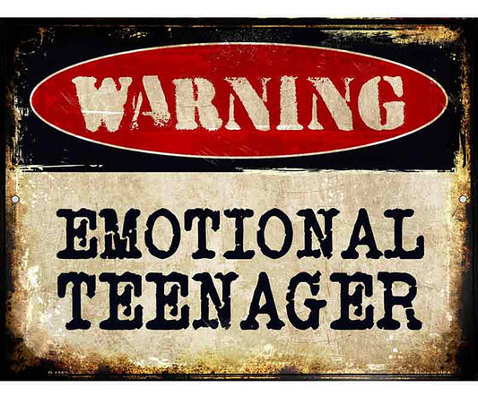 Emotional Teenager Metal Novelty Parking Sign