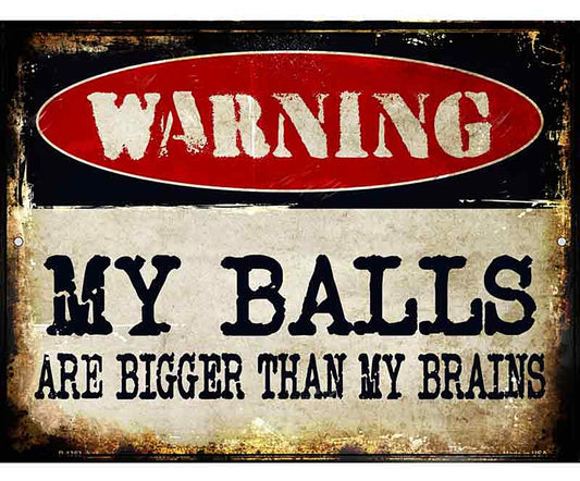 My Balls Metal Novelty Parking Sign