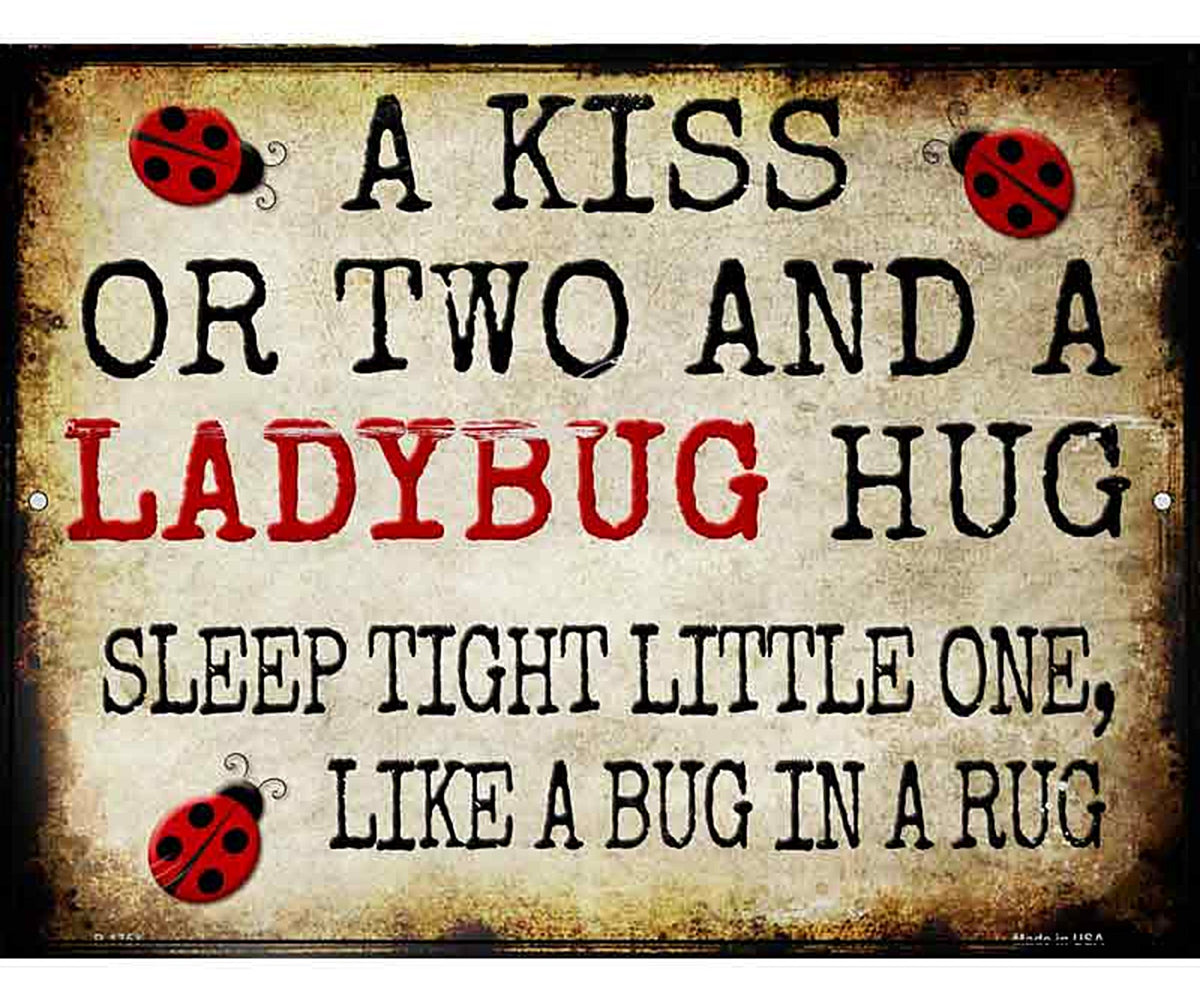 A Kiss and A Ladybug Hug Metal Novelty Parking Sign