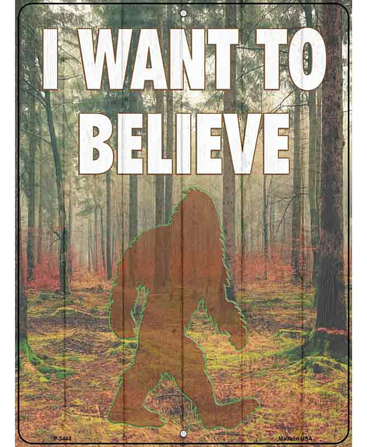 I Want to Believe Novelty Metal Parking Sign