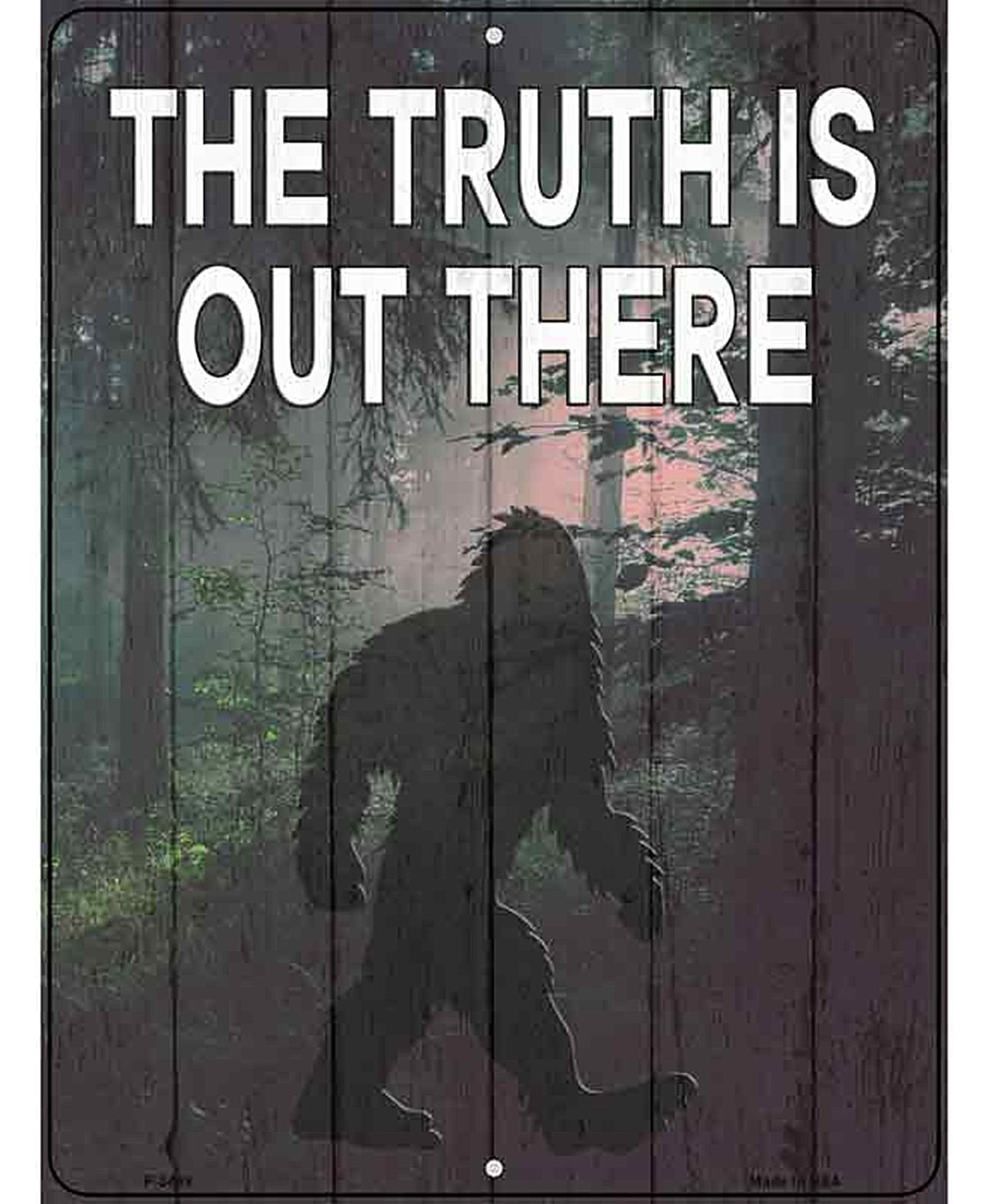 The Truth Is Out There Novelty Metal Parking Sign