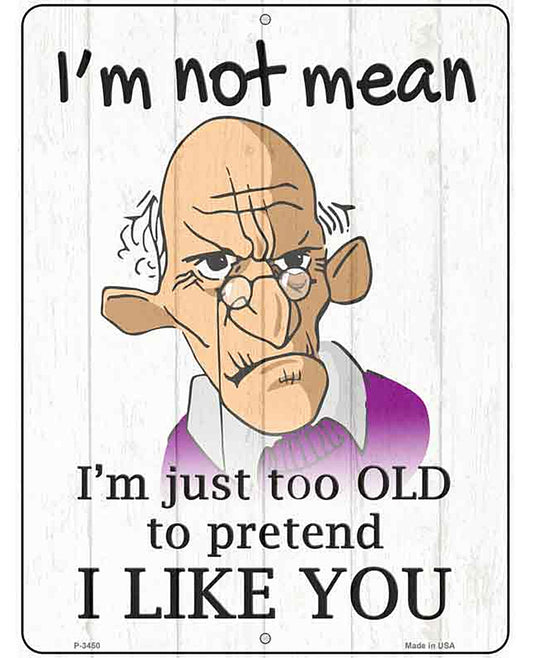 Im Not Mean Male Novelty Metal Parking Sign