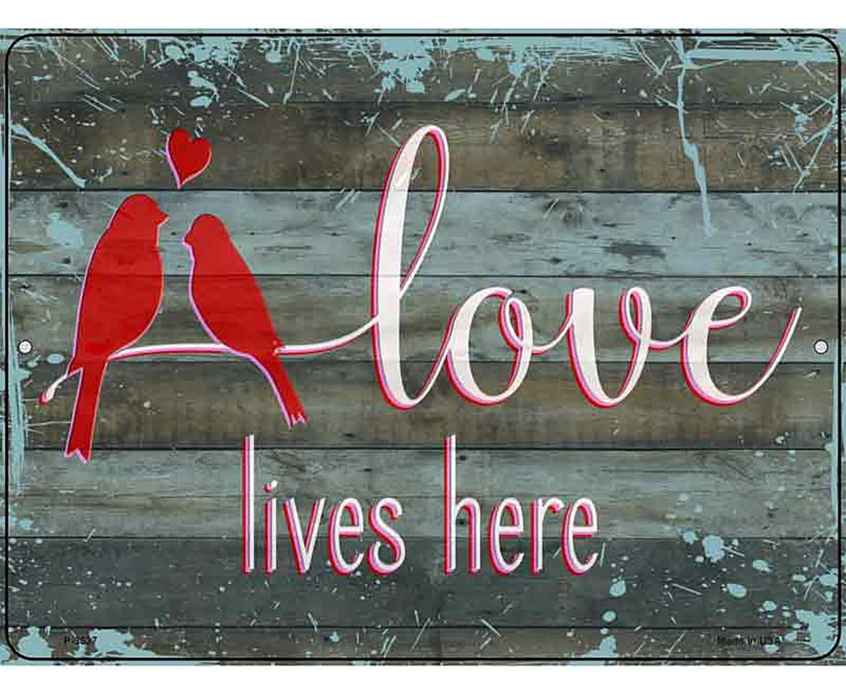 Love Lives Here Novelty Metal Parking Sign