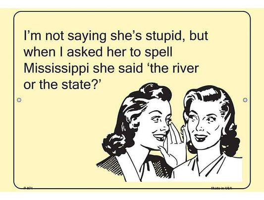 Im Not Saying Shes Stupid E-Cards Metal Novelty Parking Sign