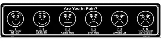 Are You In Pain Novelty Metal Street Sign