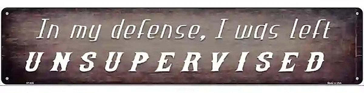 I Was Left Unsupervised Novelty Metal Street Sign