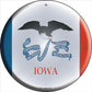 Iowa - metal sign wall decor