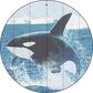 Whale Out of Water - metal sign wall decor