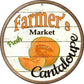 Cantaloupe - metal sign wall decor