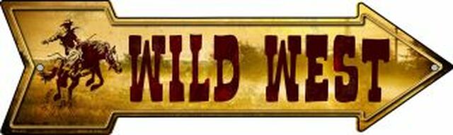 Wild West Metal Arrow