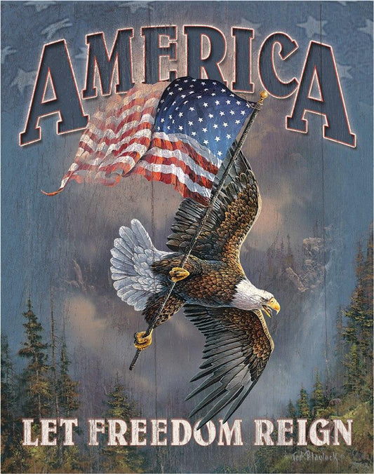 America - Let Freedom Reign