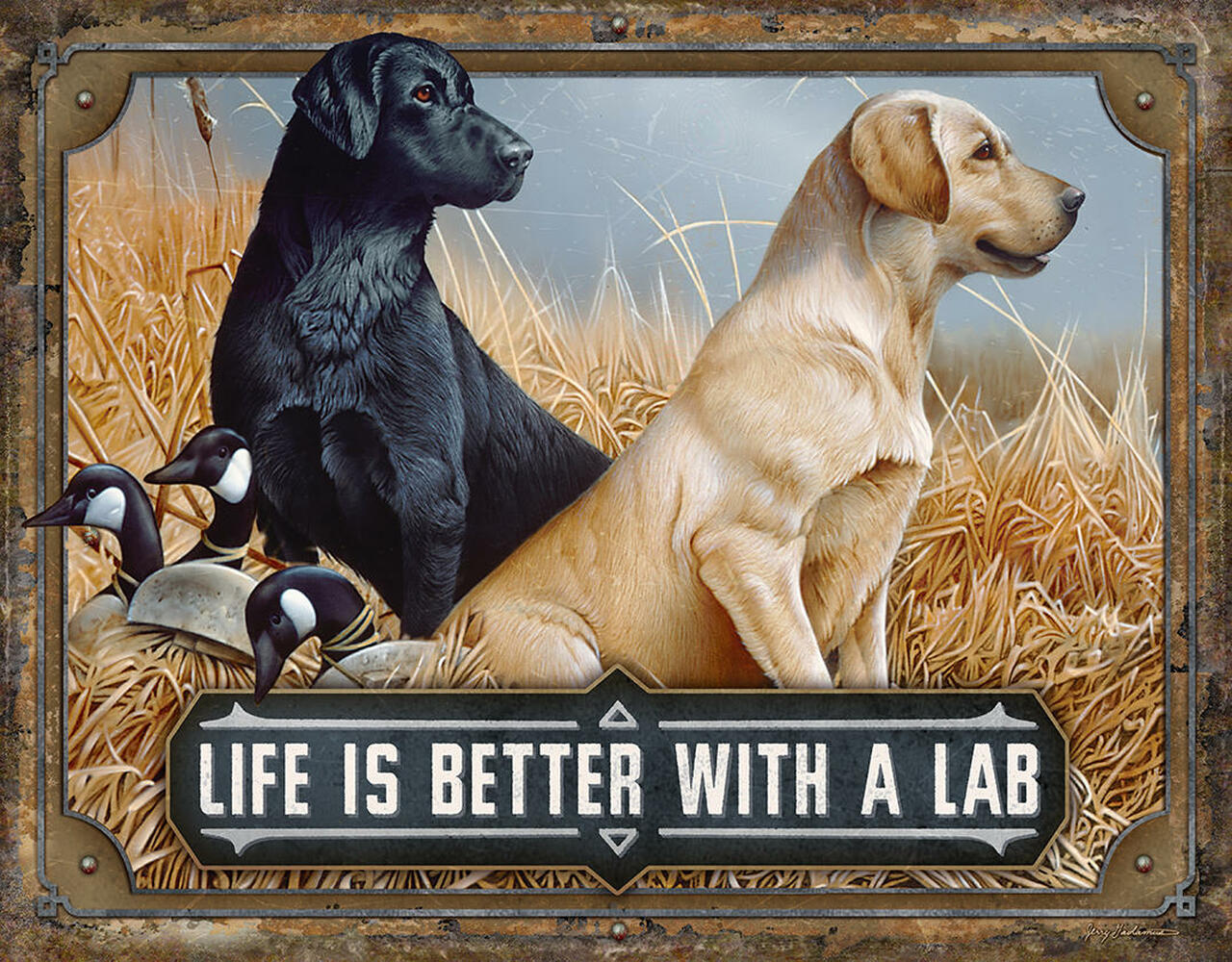 Better with a lab
