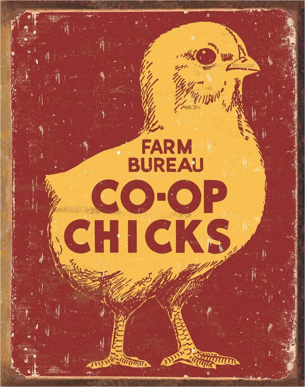 Co-Op Chicks