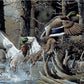 Beaver Pond - tin sign wall decor