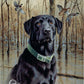 Black Lab Retriever - tin sign wall decor