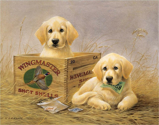 Wingmaster - Yellow Labs