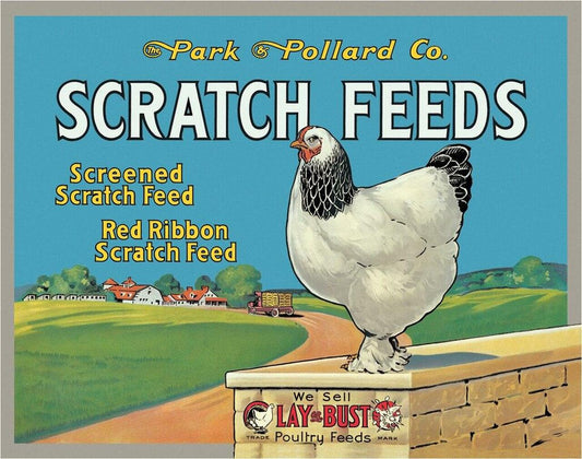 Scratch Feeds