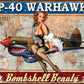 Warhawk - tin sign wall decor